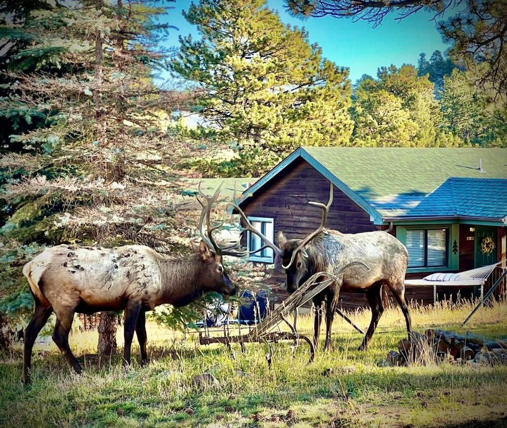 Mountain Shadows Resort Estes Park Exterior photo