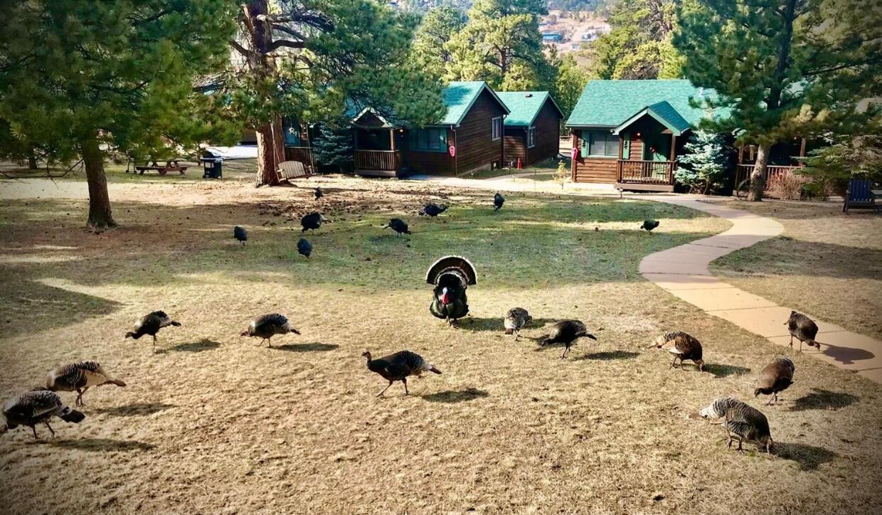 Mountain Shadows Resort Estes Park Exterior photo