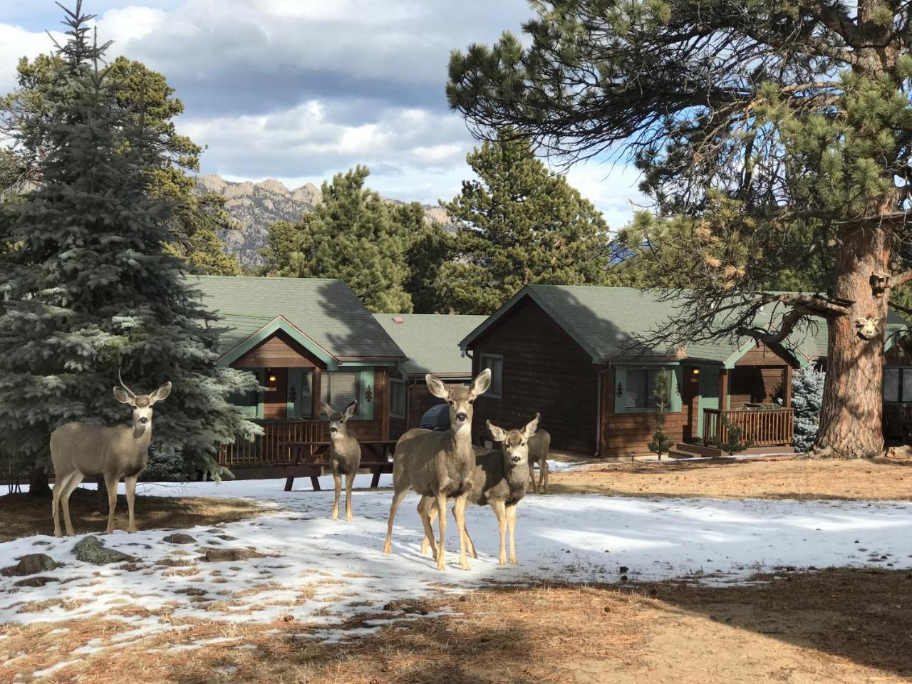 Mountain Shadows Resort Estes Park Exterior photo